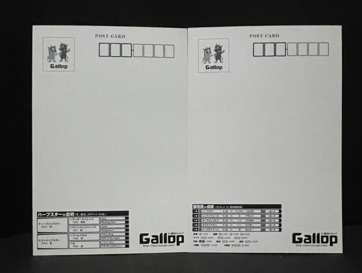 ポストカード　競馬