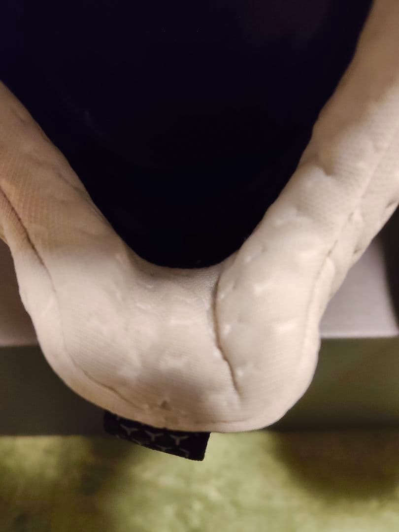 ECCO エコー ゴルフシューズ BIOM H4 BOA