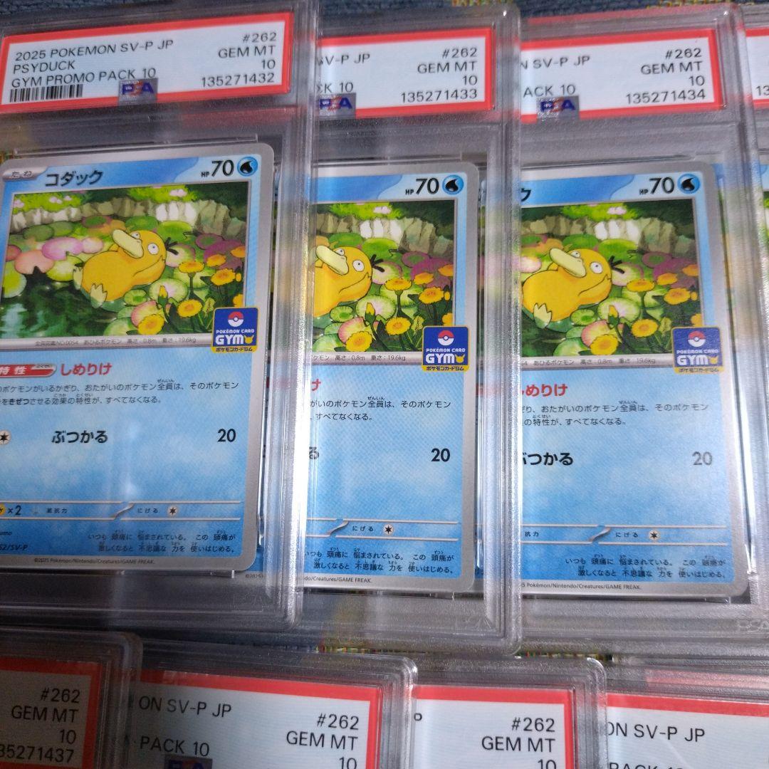 【PSA10】コダック しめりけ 262/SV-P ジムプロモ 11枚 連番