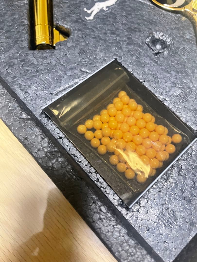 バイオハザード CODE:Veronica アシュフォードゴールドルガー 限定版