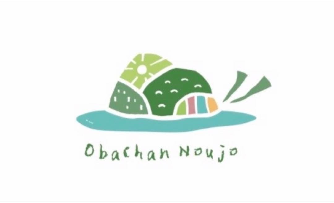 STRIDER バランスバイク 緑色 + Bern ヘルメット