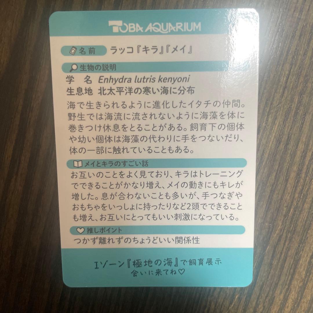 鳥羽水族館 70周年 コレクションカード　レア　キラメイ