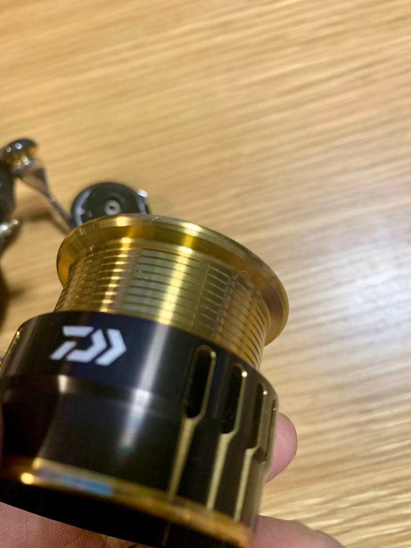 リール DAIWA THEORY 2508PE-DH