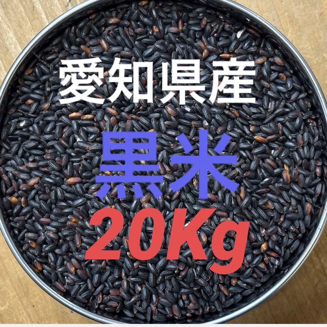 7年度愛知県産 黒米 20Kg