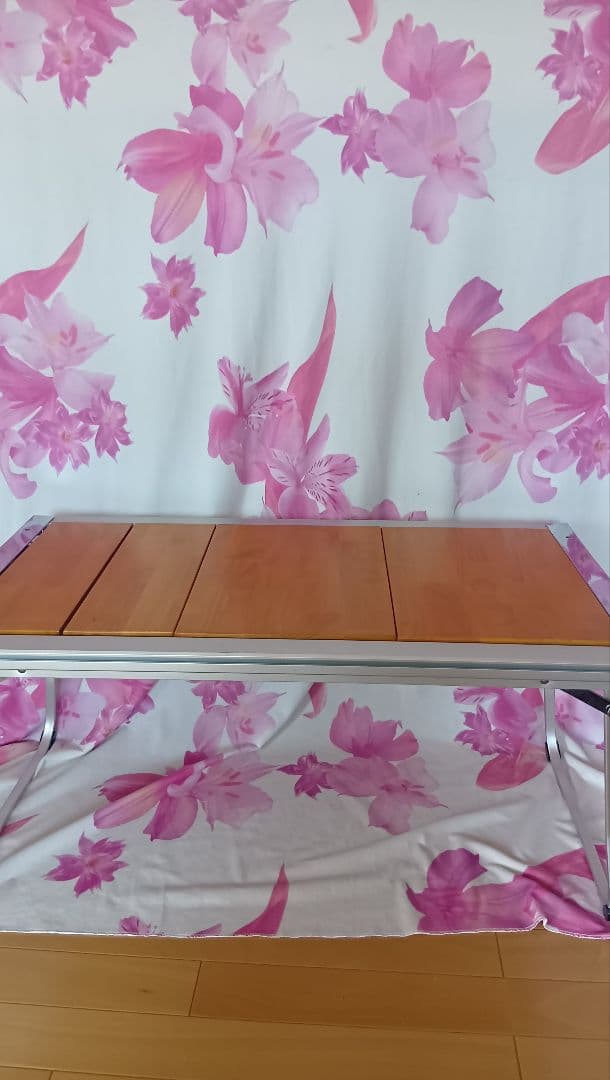 スノーピーク エントリーIGT ＋ マルチパーパストートバッグM＋ハーフトレー