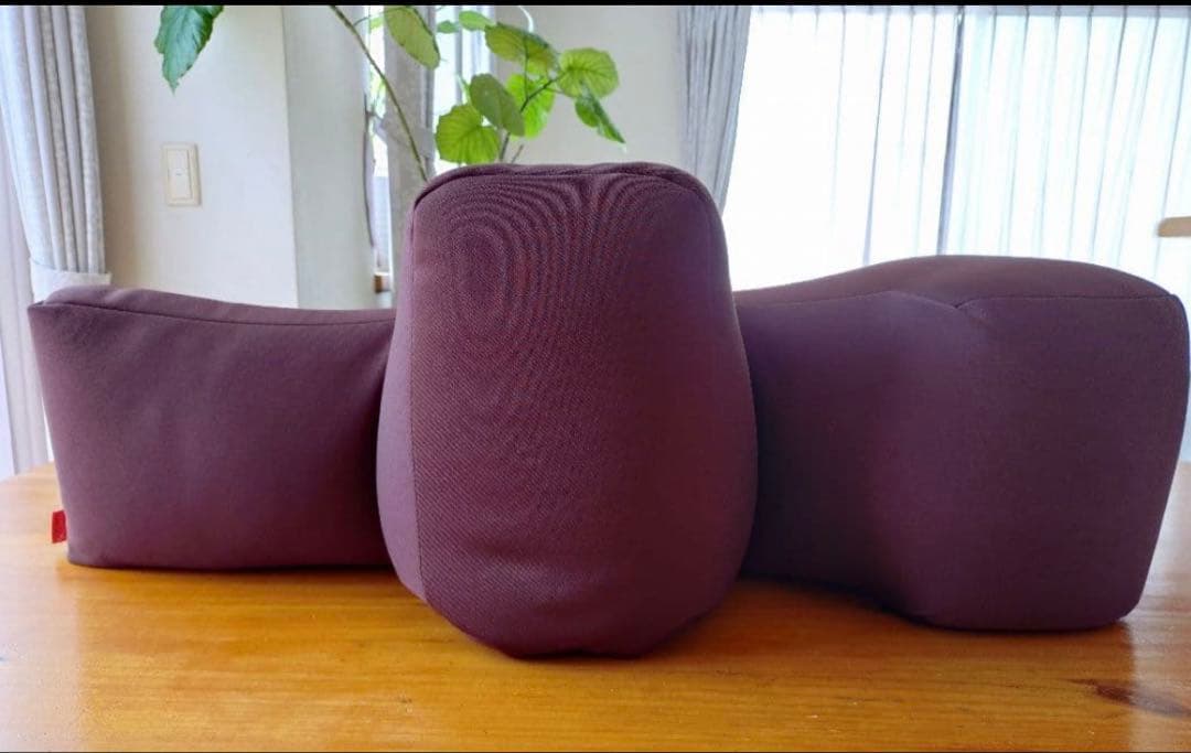 【美品】OneAid リラクッションカバー付き　Lサイズ　ブラウン