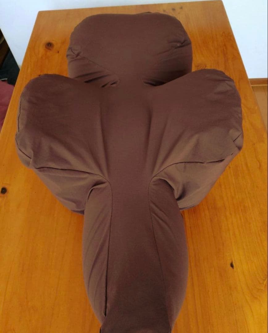 【美品】OneAid リラクッションカバー付き　Lサイズ　ブラウン