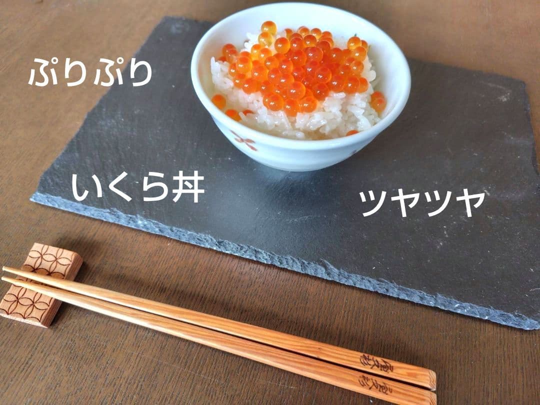 つきあかり10kg　岩手県産 令和６年産 減農薬 玄米 有機栽培