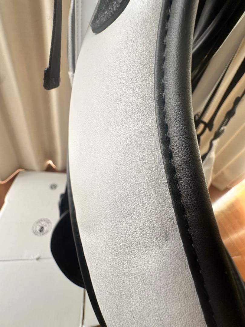 MARK & LONA キャディバッグ スカル