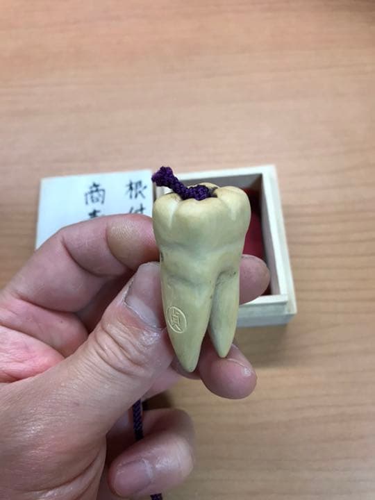 根付サンプル　虫歯　銘:貞道
