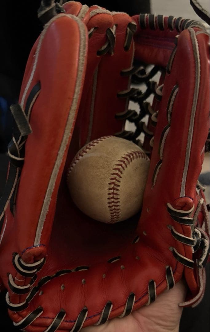 本日限り D×M ディーバイエム 硬式グラブ グローブ オールラウンド 左投げ