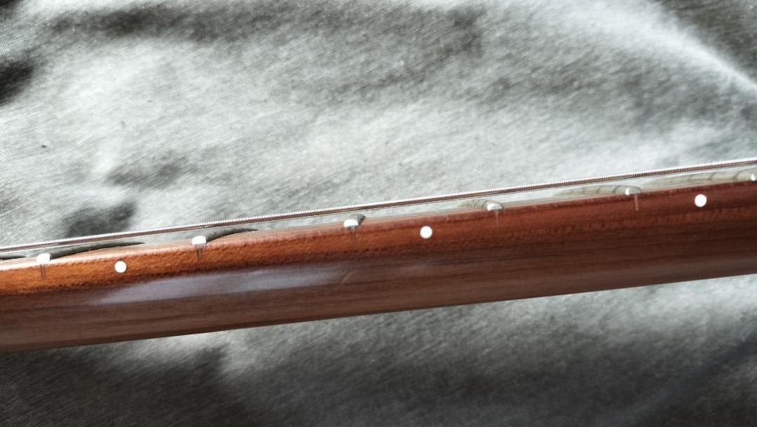 ギター SCHECTER Nick Johnston Traditional HSS