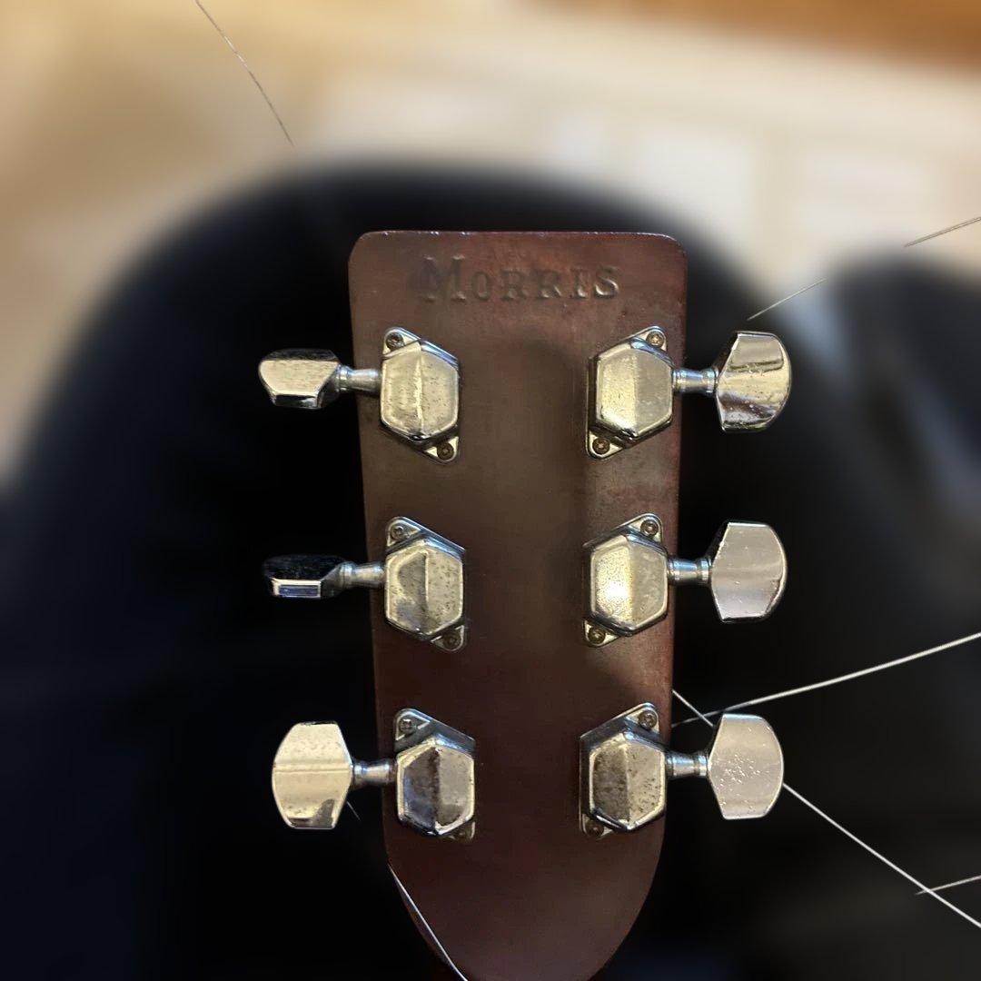 Morris アコースティックギター ケース付き