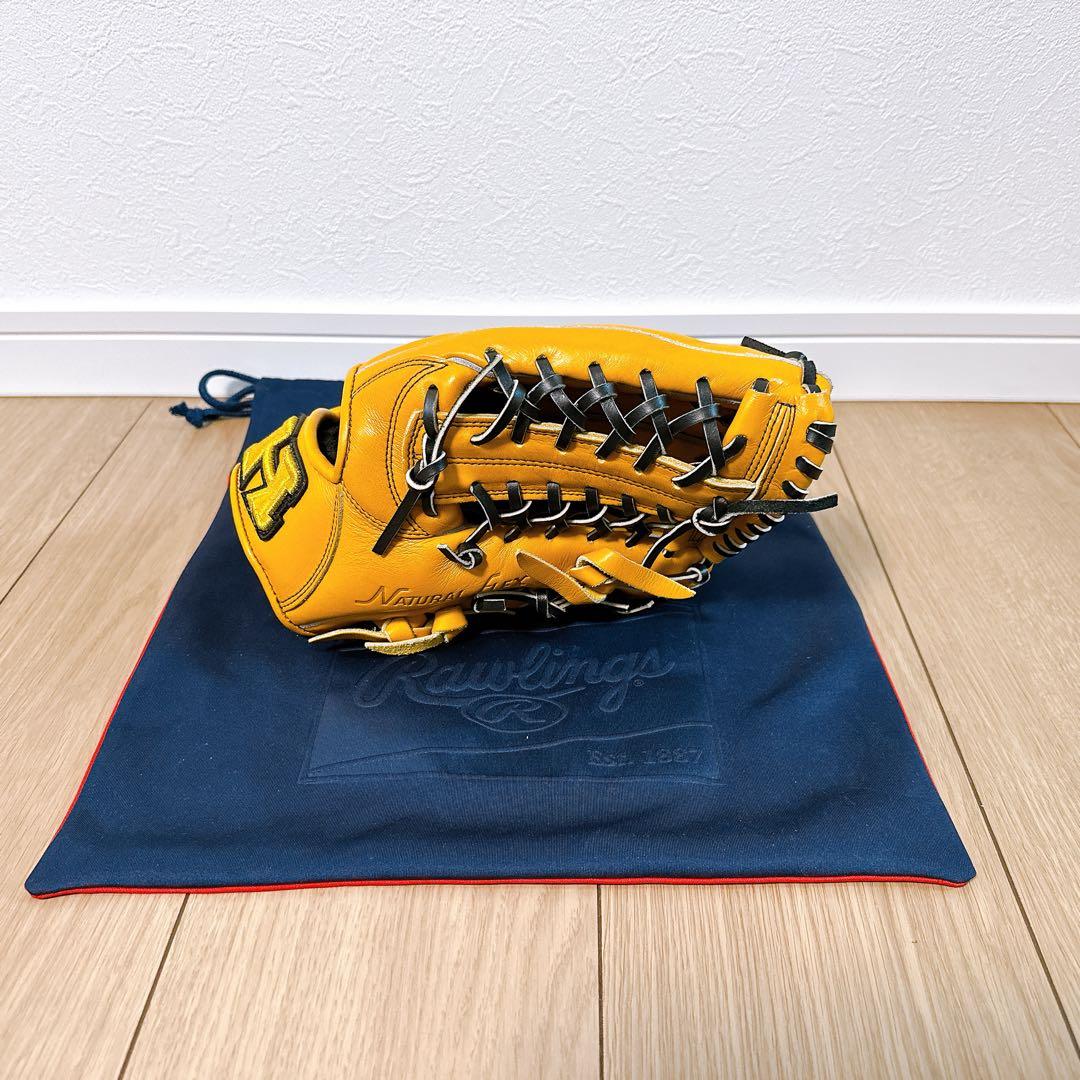 【HI-GOLD】己極 軟式 外野 右投げ (OKG6028)