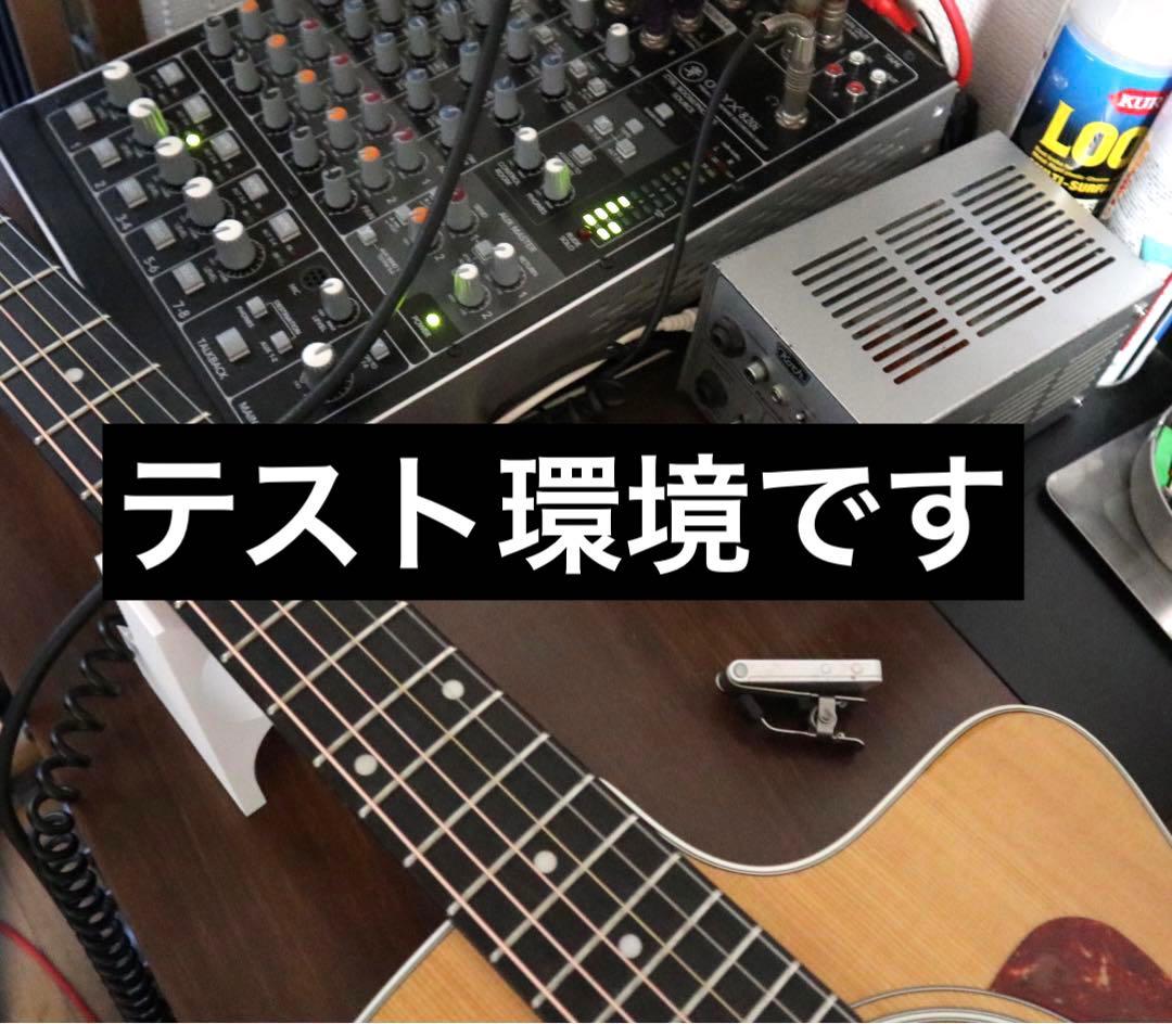 【送料込み】Taylor 214ce ES2 エレアコ 本革ストラップ ケース