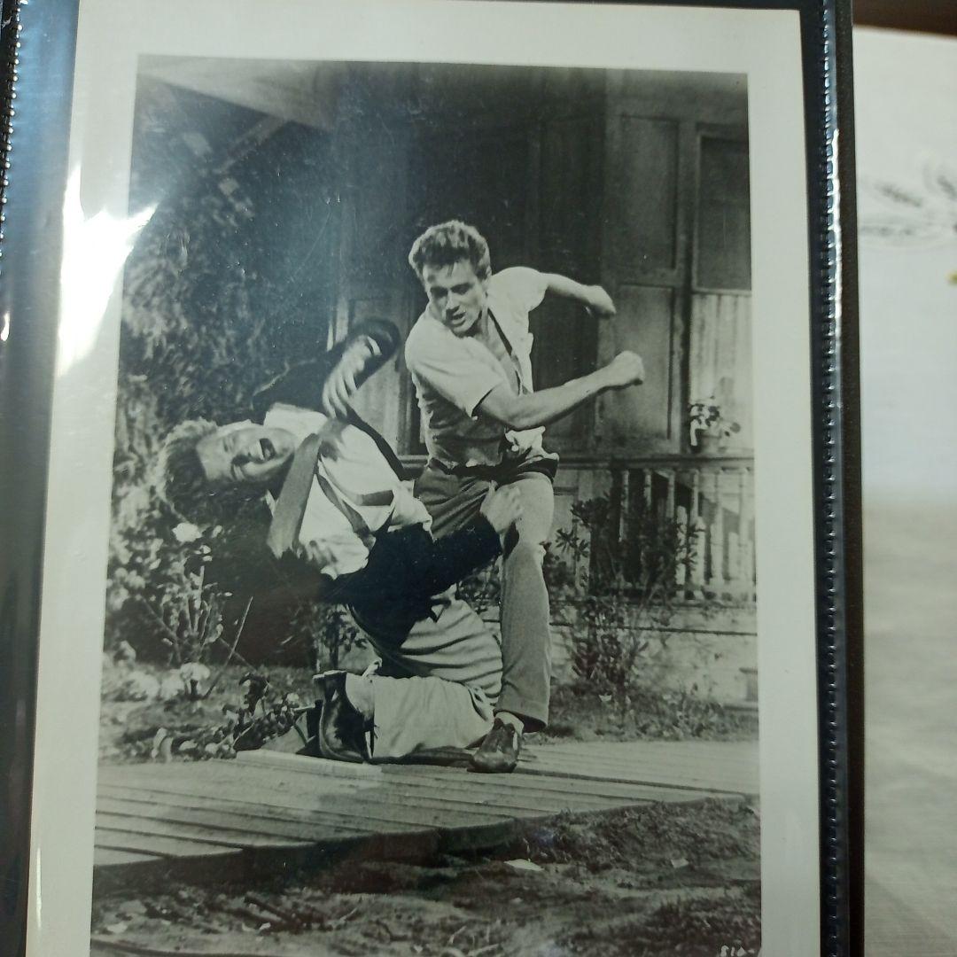 1950年代　105枚　洋画スチール写真