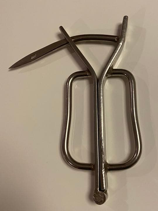 珍しい未知のアイテム