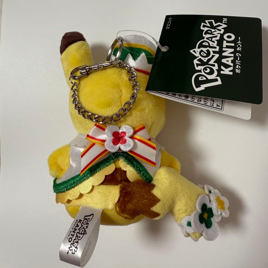 ポケパーク カントー ピカチュウ まとめ売り