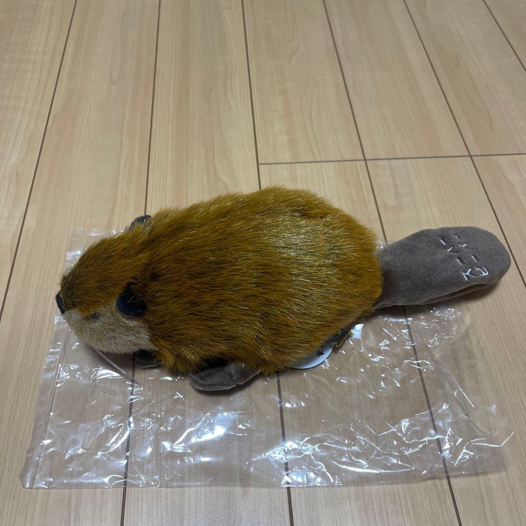 スーパービーバーちゃん　新品未使用品