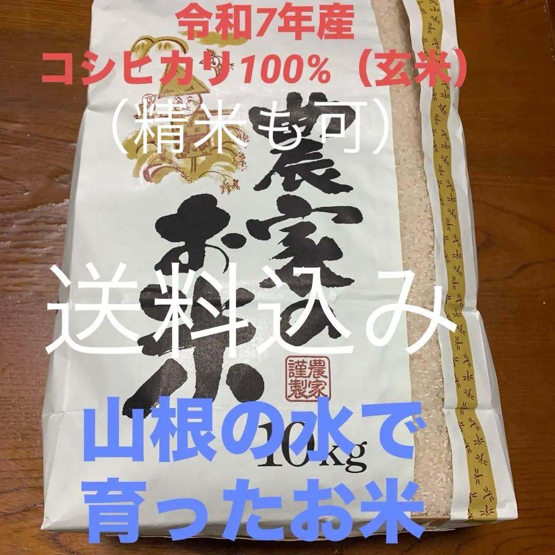 令和7年産コシヒカリ　（玄米10ｋｇ）