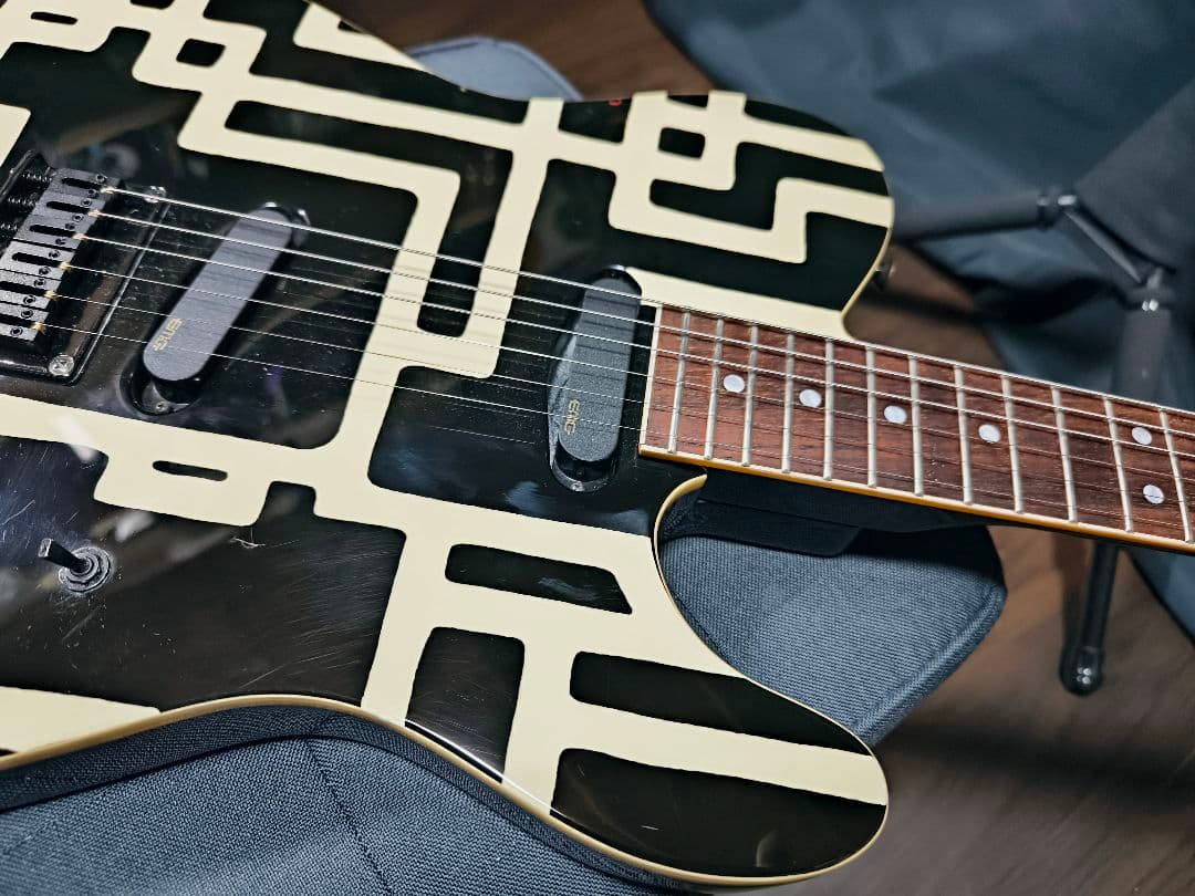 FERNANDES TE-95HT 布袋モデル EMG-SA マグナムロック