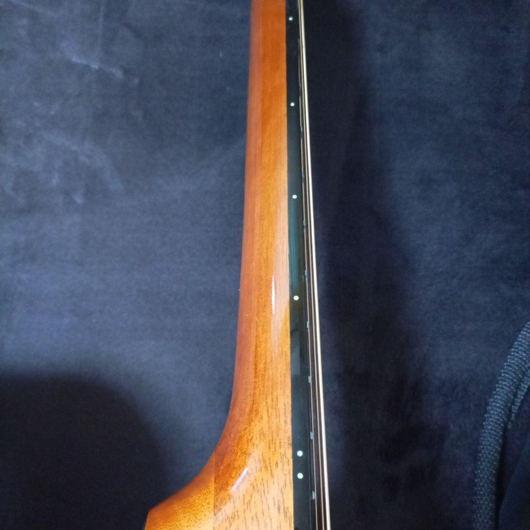 トラベラー アコースティックギターREDLANDS エレアコ仕様