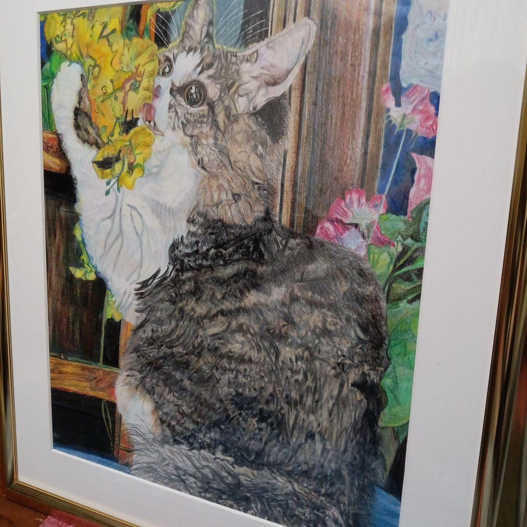 猫ちゃん　色鉛筆画　サンプル　手書き　ハンドメイド　一点物　オリジナル作品　愛猫