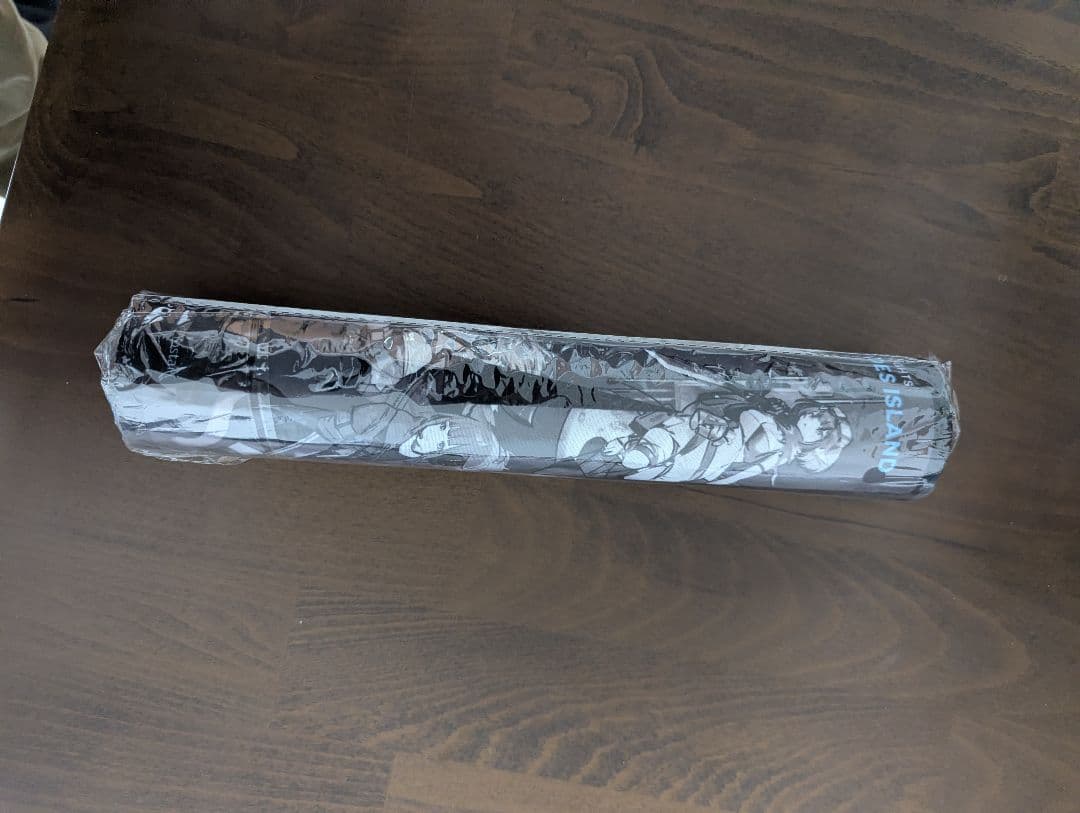 アークナイツ 4周年記念BOX TERRA FATORUM【中身未開封】