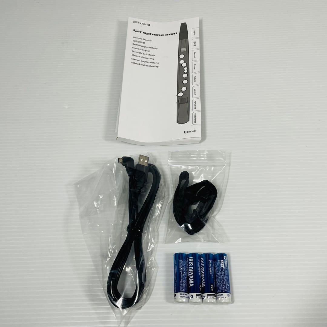 ローランド AEROPHONE mini AE-01 エアロフォン ミニ