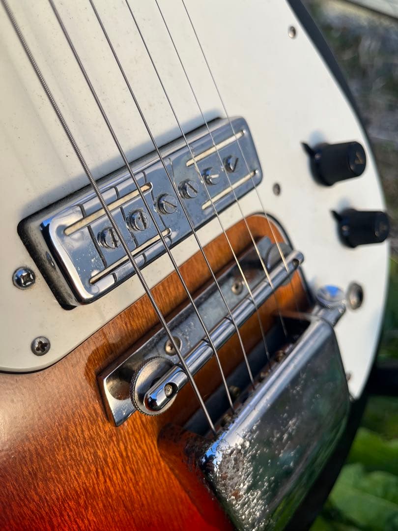 LAKE 日進工業 ビザール