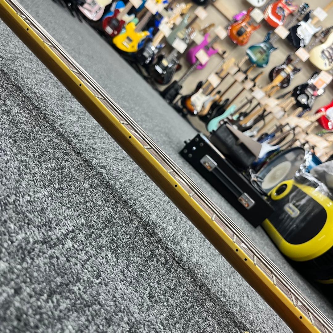 【11252】SCHECTER diamond series EXTREME-4