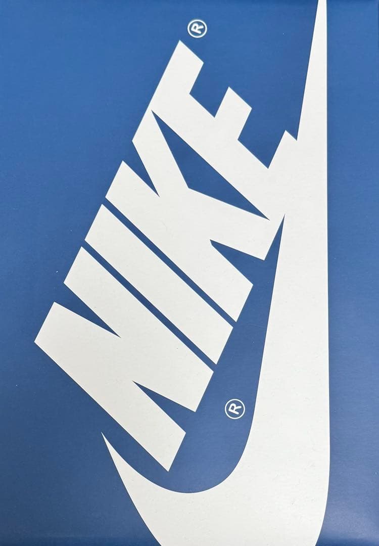 AIR JORDAN 1 トゥルーブルー26cm