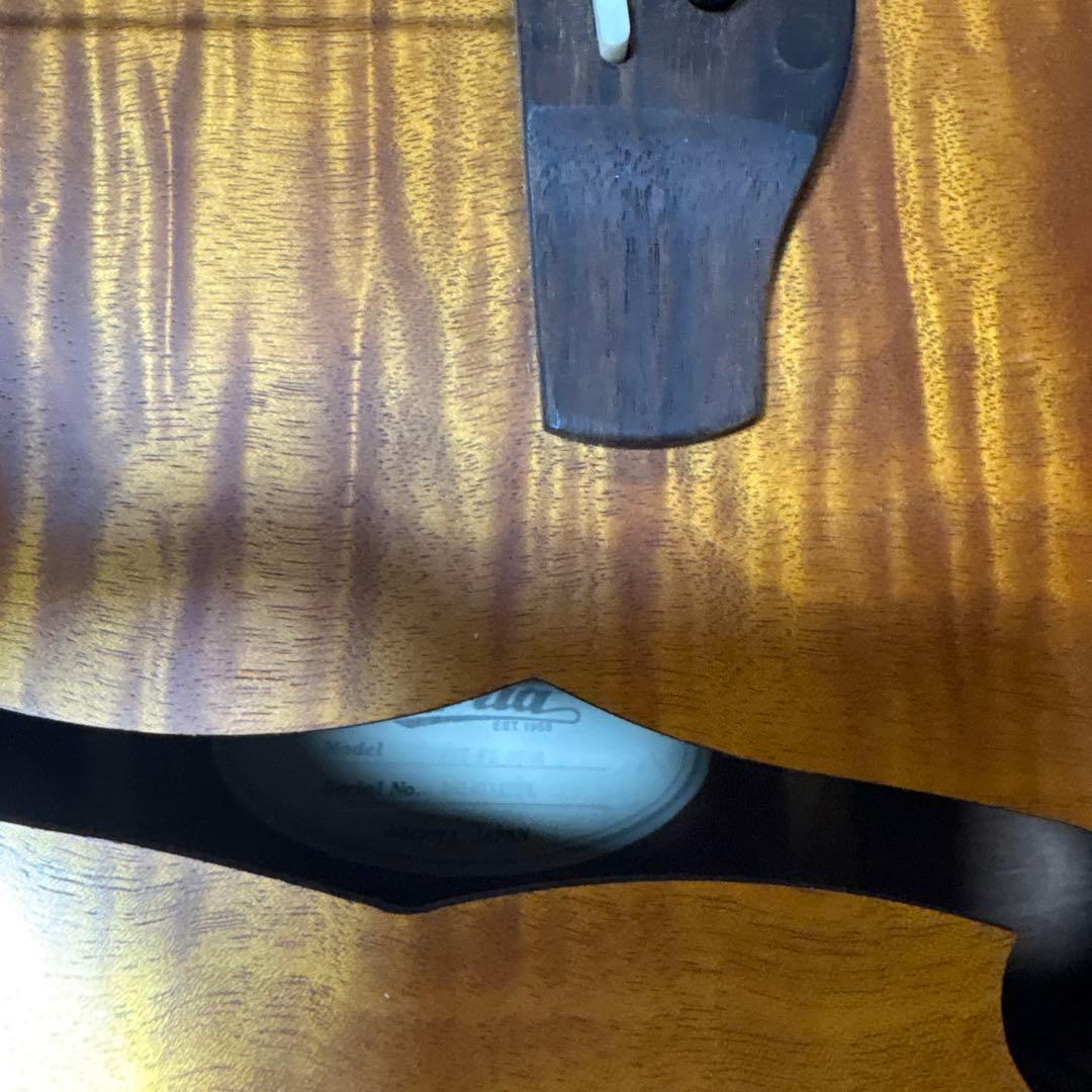 Aria アコースティックギター フルボディ