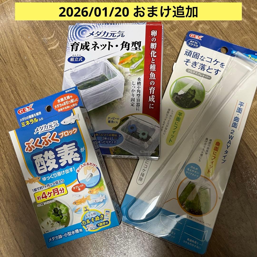 KOTOBUKI 40cm ガラス水槽　水槽セット