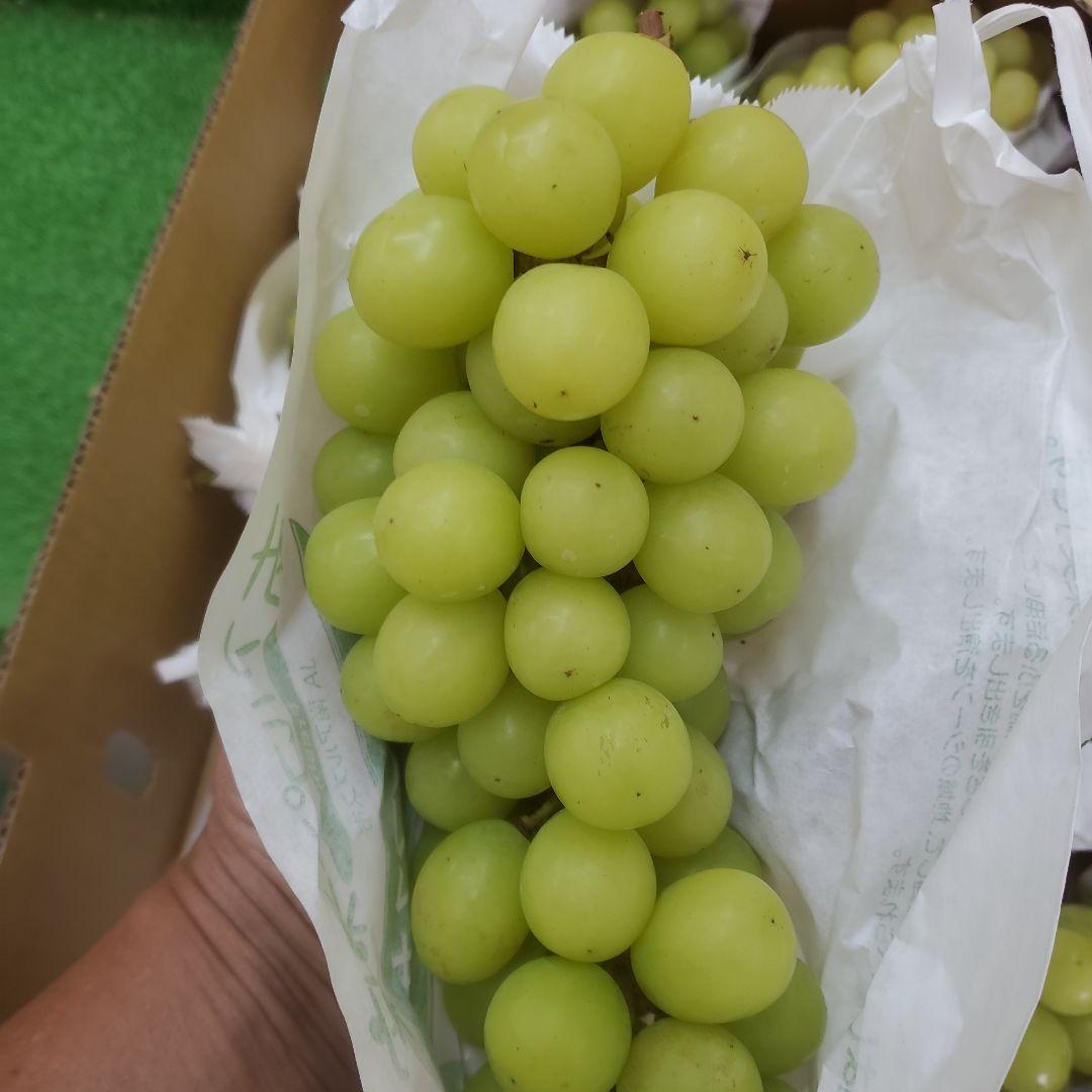 6️⃣ 山梨県産 シャインマスカット ８房入り 箱込み5.2キロ