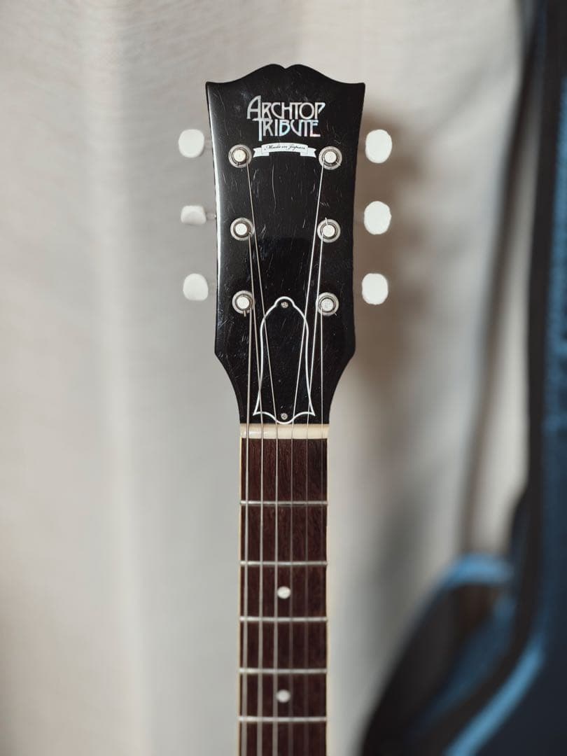 【ken ken】Archtop Tribute AT130 MA