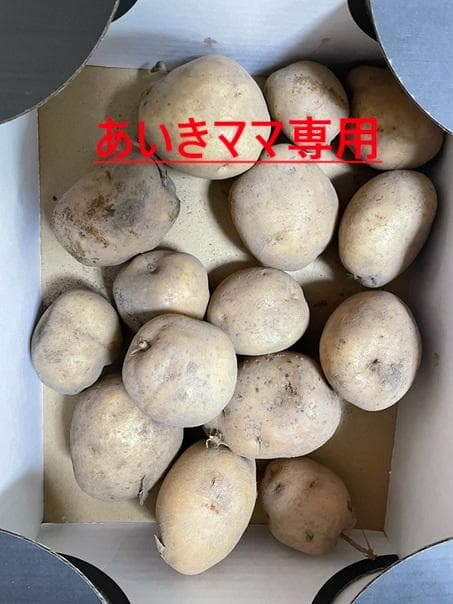 あいきママ専用