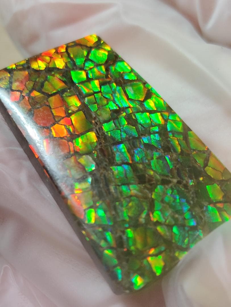 アンモライト　ルース　24-0800 36000