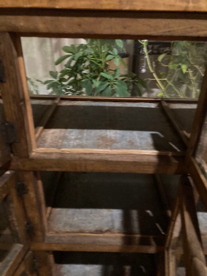 昭和レトロ　木製対面ガラスショーケース　背面開戸