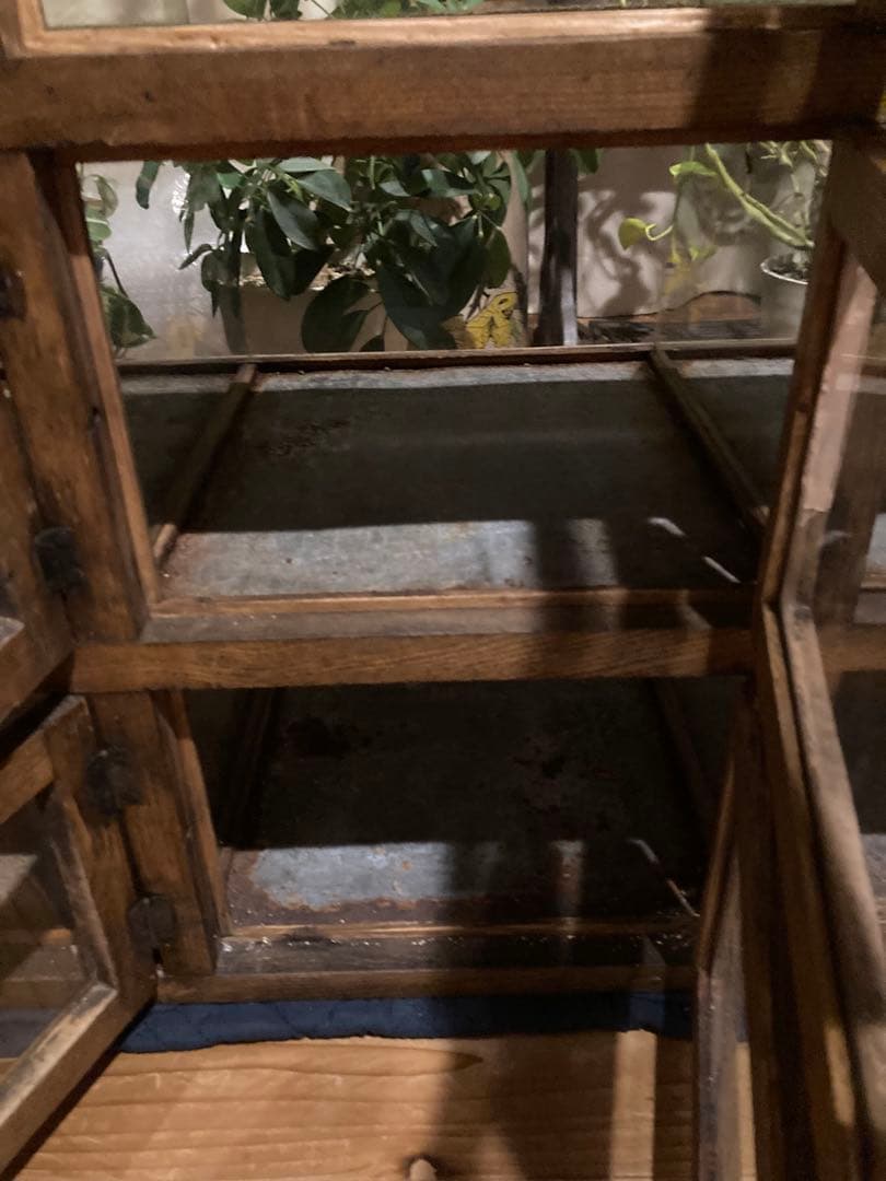 昭和レトロ　木製対面ガラスショーケース　背面開戸