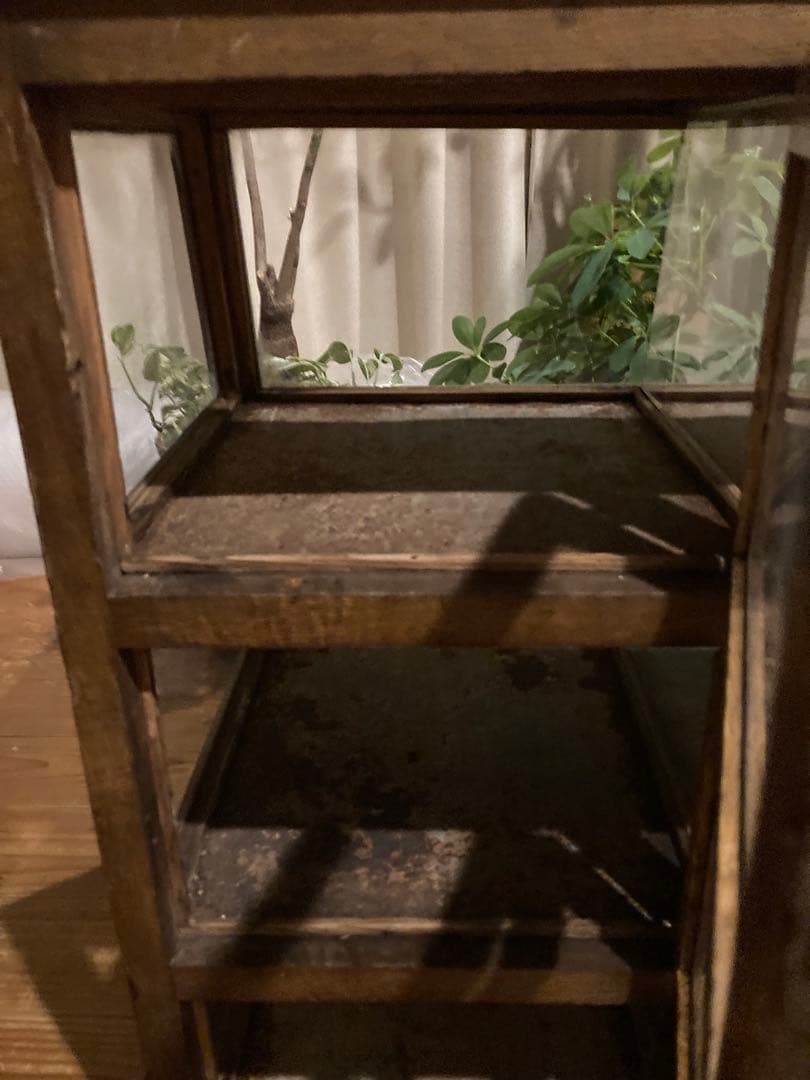 昭和レトロ　木製対面ガラスショーケース　背面開戸