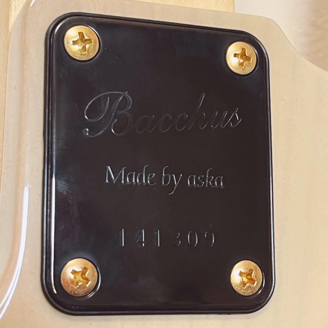 WOODLINE-HOLLOW4 FUYUZAKURA WSE’23/E