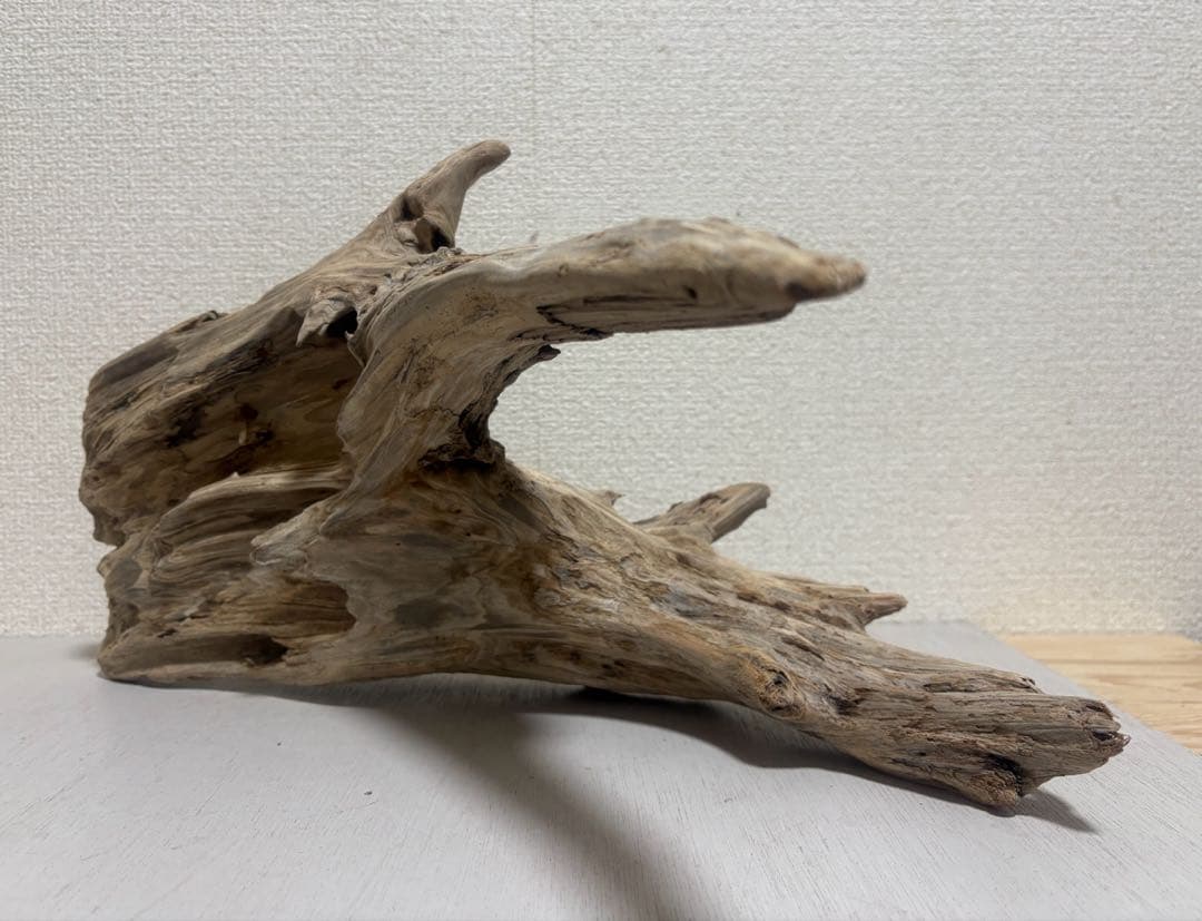 Ｇ86 爬虫類　両生類　シェルター　バスキング　流木