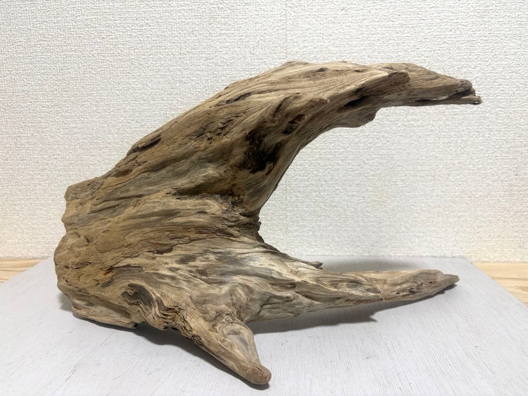 Ｇ86 爬虫類　両生類　シェルター　バスキング　流木