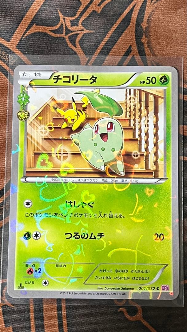 チコリータ cp3 3枚