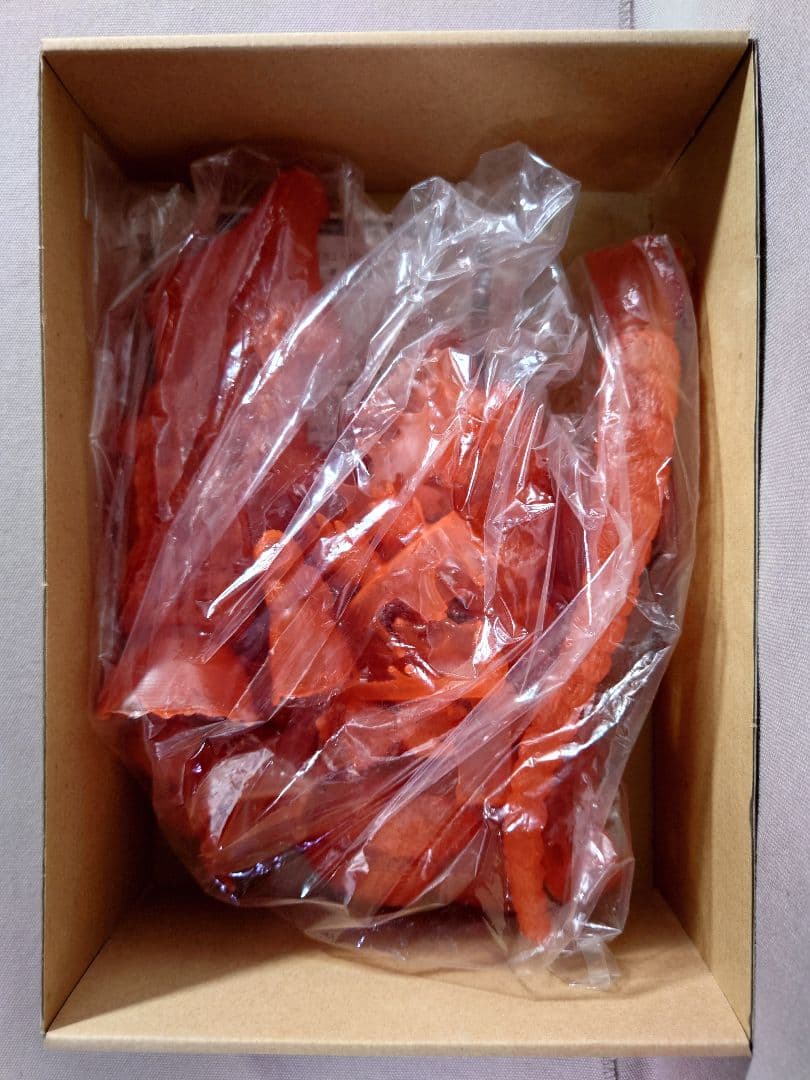 ゴジラ　GODZILLA 1995　海洋堂　限定版 透明(赤)　原型：酒井ゆうじ