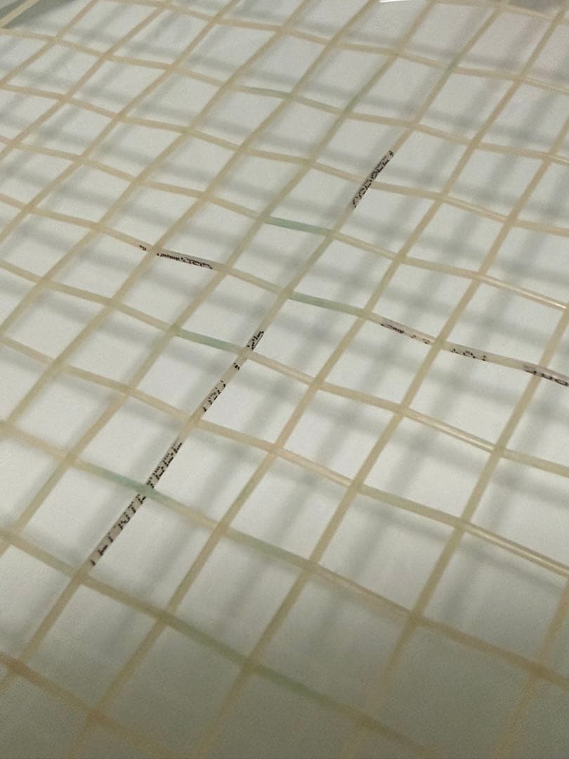 テクニファイバーT-FIGHT300 G2 国内正規品