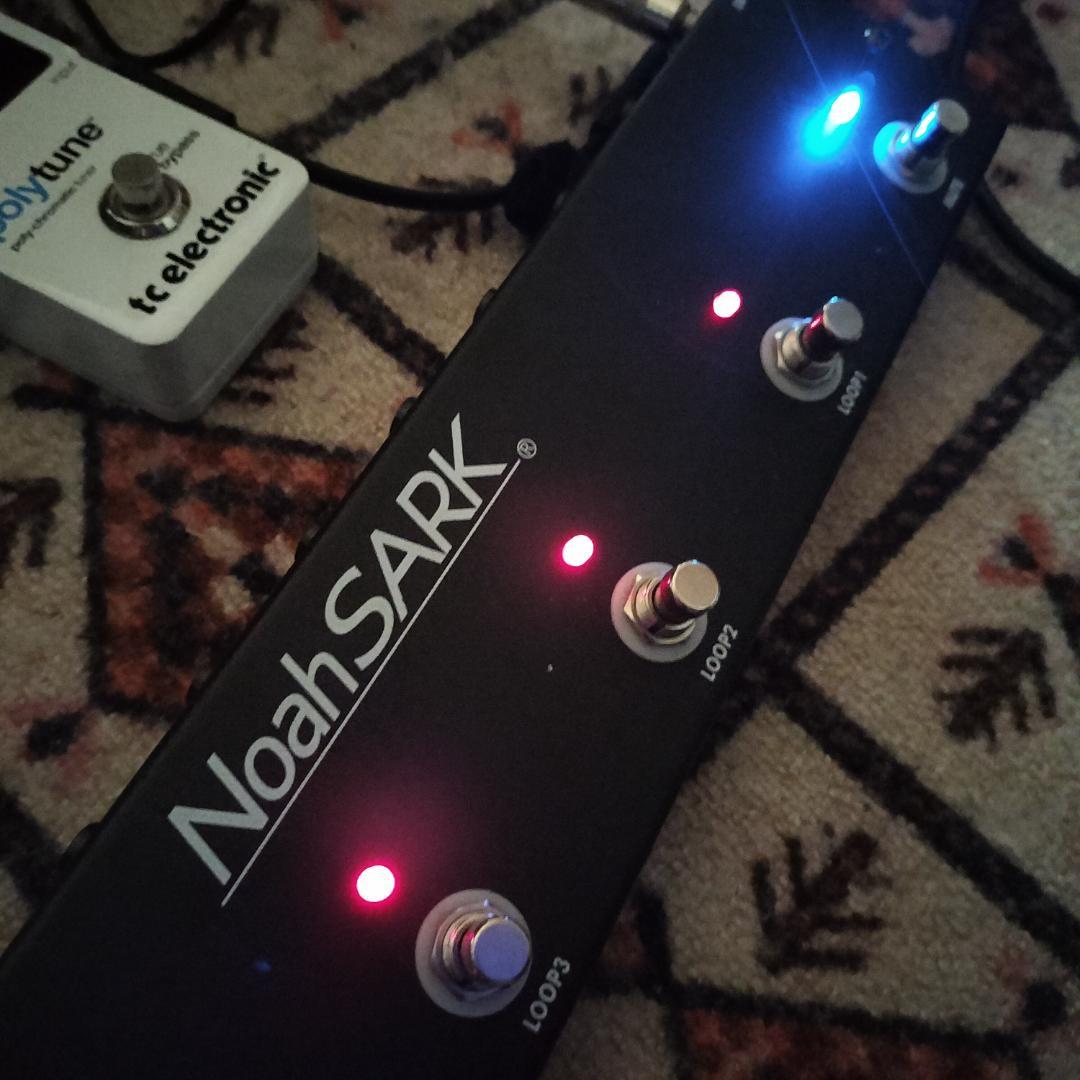 NoahSARK TBSW-1（5ループスイッチャー）