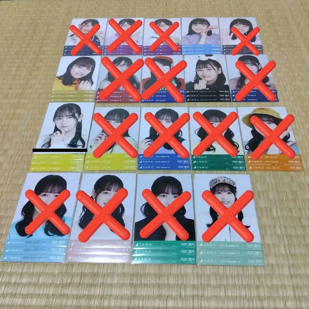 乃木坂46 向井葉月 生写真 コンプ まとめ売り