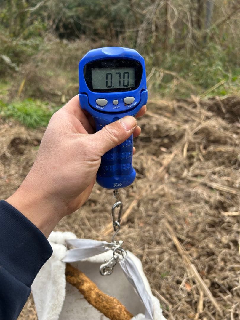 天然自然薯　海さん　専用